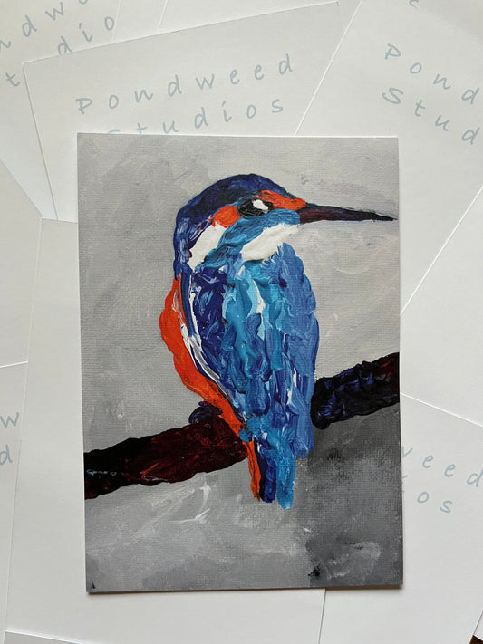 Kingfisher Print (A5)